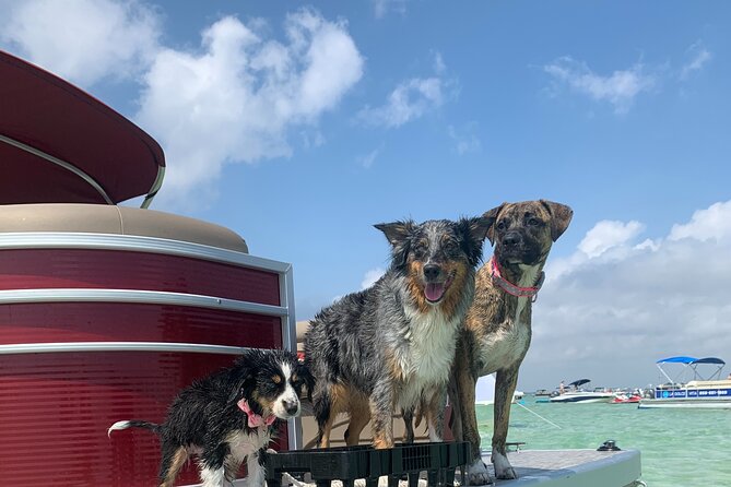 24ft (12 Passenger) Pontoon Boat Rental in Destin/Crab Island - Explore Destin’s Waterways with a 24ft Pontoon Boat Rental