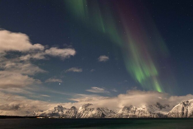 24hr Northern Lights & Whale Watching Cruise - Starting Point and Departure Details in Tromso