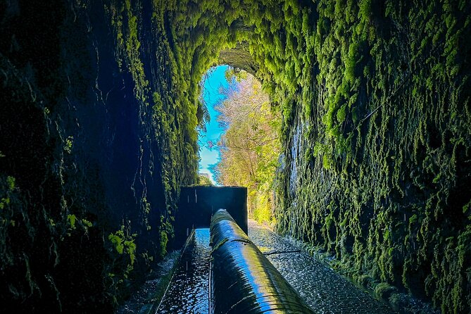 25 Fountains Levada: Hiking Tour in Madeira Rabaçal Valley (PR6) - The 25 Fountains: A Photo-Friendly Spot