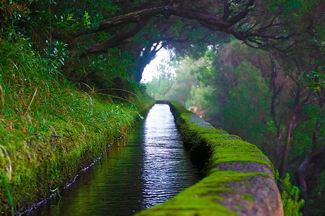 "25 Fountains" Walk / Lost In The Beautiful Forest - The Tunnel and the Return Journey