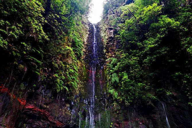 "25 Fountains" Walk / Lost In The Beautiful Forest - The Guide: Expert, Friendly, and Informative