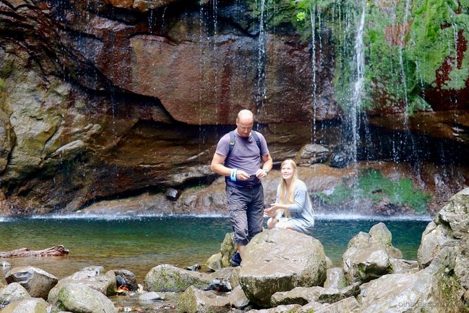 "25 Fountains" Walk / Lost In The Beautiful Forest - What Sets This Tour Apart: Waterfalls, Springs, and Expert Guidance