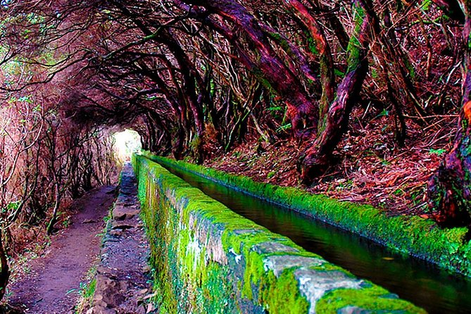 "25 Fountains" Walk / Lost In The Beautiful Forest - Potential Drawbacks and Considerations