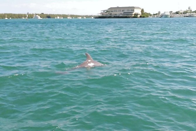 26 Ft Boat, Miami Bay Tour for 2 or 4 hours. 10 people - Duration Options: 2 Hours or 4 Hours