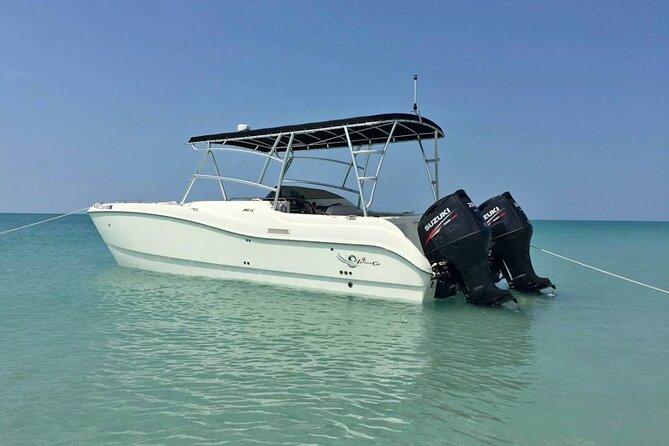 27ft Miami Catamaran for Groups and Parties - Nixon Sandbar: A Shallow Sanctuary for Swimming and Relaxation