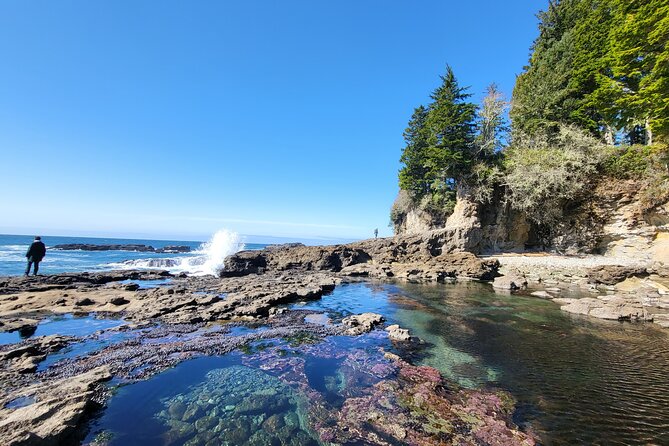 2Day Adventure with Beaches Rainforest Cabin on Vancouver Island - Explore the Best of Vancouver Island in Just Two Days