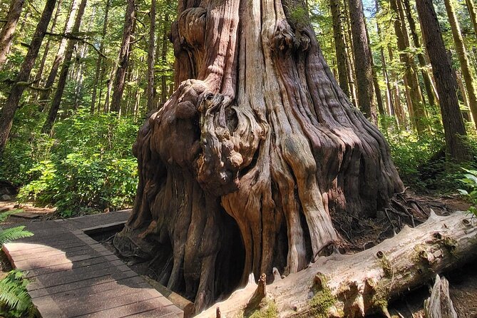 2Day Adventure with Beaches Rainforest Cabin on Vancouver Island - The Itinerary: A Day-by-Day Breakdown