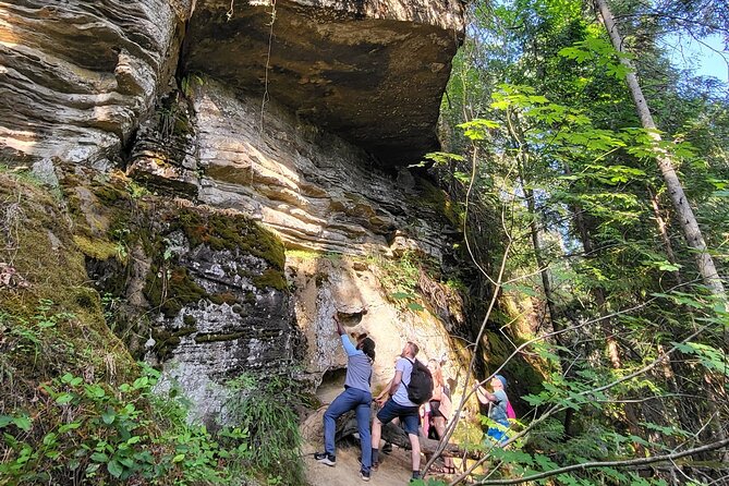 2Day Adventure with Beaches Rainforest Cabin on Vancouver Island - Why This Tour Excels: Guides and Unique Stops