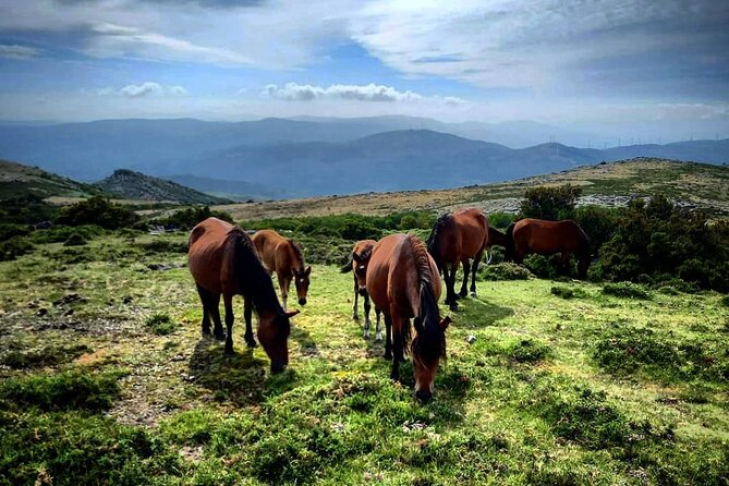 2h Buggy Tour  Arcos de Valdevez  Peneda Gerês - The Off-Road Route and Scenic Highlights