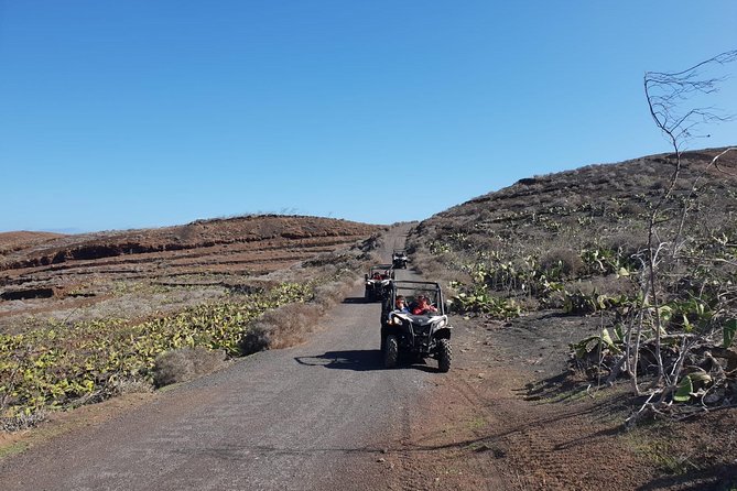 2h Buggy Tour guided by the north of Lanzarote - Weather Considerations and Cancellation Policy