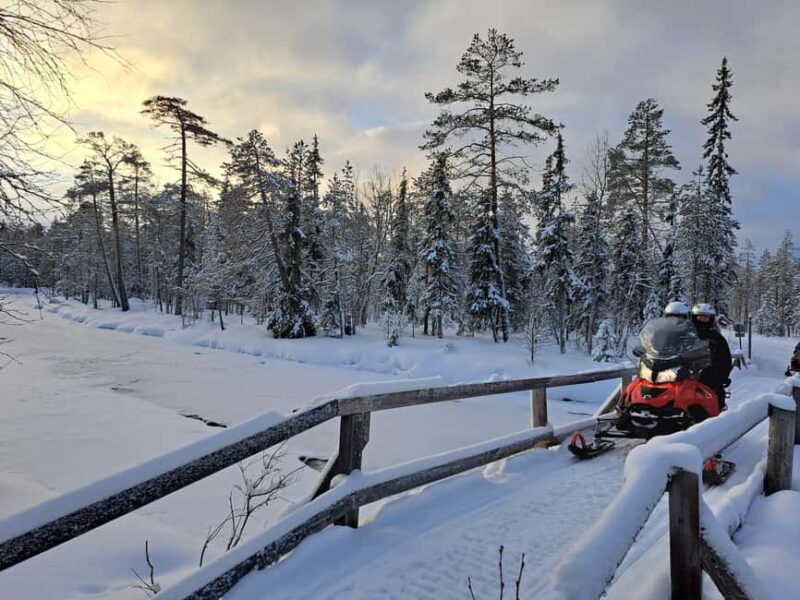 2h private snowmobile experience in Rovaniemi's forest - Key Points