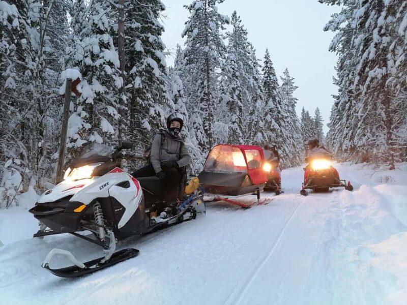 2h private snowmobile experience in Rovaniemi's forest - Exploring Forest Paths and Frozen Waterways