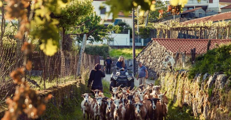 2h Quad Tour Arcos de Valdevez Peneda Gerês - Key Points
