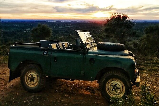 2hr Cork Safari in a Classical Land Rover - Explore Portugal’s Cork Forests in a Classic Land Rover