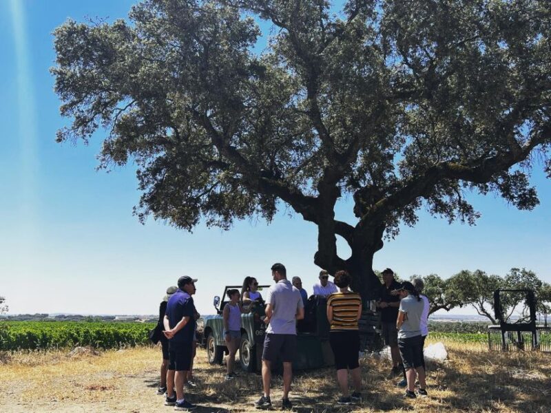 2hr Cork Safari in a Classical Land Rover - Practical Details and Logistics