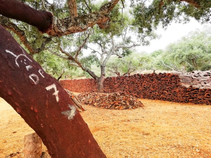 2hr Cork Tour in a Jeep - The Farm: A Living, Working Estate