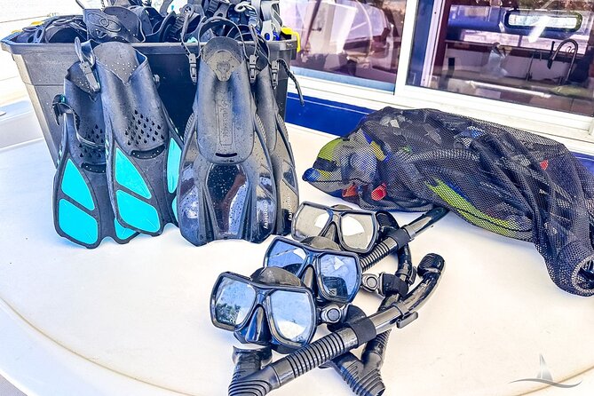 2hr Luxury Private Sailing Catamaran for 7-12 People - Snorkeling and Marine Life Encounters