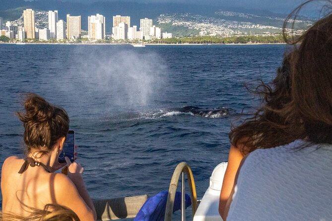 2hr Luxury Private Sailing Catamaran in Waikiki for 1-6 People - Key Points