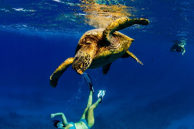 2hr Luxury Private Sailing Catamaran in Waikiki for 1-6 People - Snorkeling and Marine Wildlife Encounters