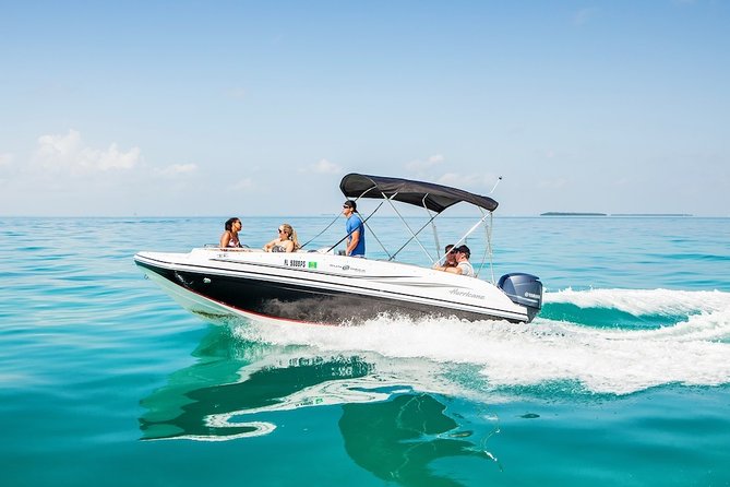 2Hr Private Boat Tour Miami Beach, Captain & Champagne, & Sandbar - Key Points