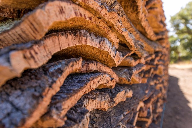 2hr Walk in a Cork Forest - The Corktrekking Experience: Walking the Farm Roads