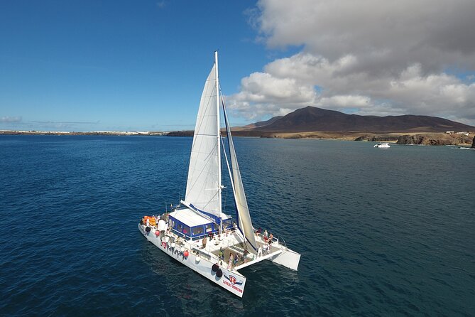 2hrs Dolphins Sunset Sailing Cruise With Drink - Dolphin and Whale Sightings: Luck and Expectations