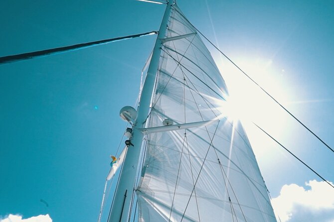 2hrs Dolphins Sunset Sailing Cruise With Drink - Crew and Atmosphere on the Catamaran