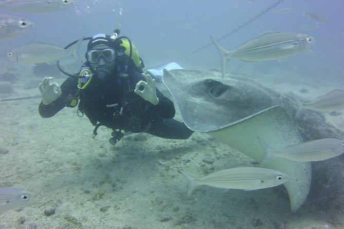 2x diving package, on request including refreshment - Expert Guidance and Support Throughout the Day