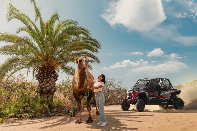 2x1 Combo UTV Side by Side Experience and Camel Ride in Los Cabos - Discover the Excitement of the 2x1 Combo UTV Side by Side and Camel Ride in Los Cabos