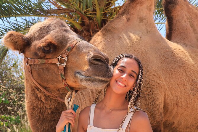2x1 Combo UTV Side by Side Experience and Camel Ride in Los Cabos - Key Points