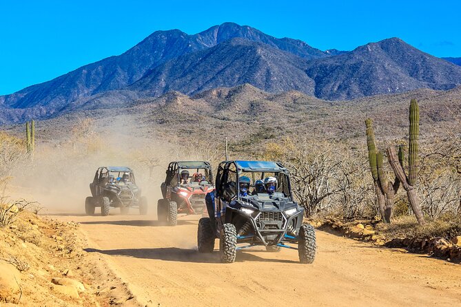 2x1 Combo UTV Side by Side Experience and Camel Ride in Los Cabos - What’s Included and What’s Not