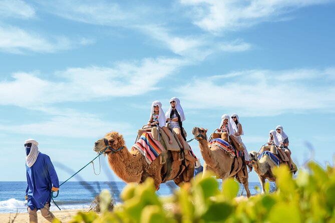 2x1 Combo UTV Side by Side Experience and Camel Ride in Los Cabos - Physical Fitness and Booking Details
