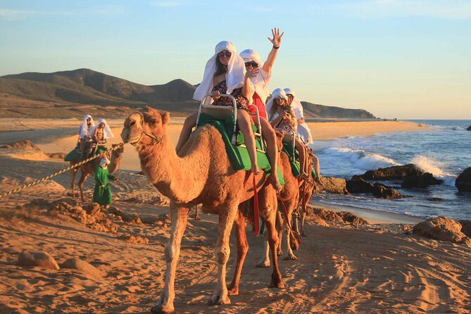 2x1 Tour: Cabo San Lucas Arch + Camels Ride + Pick up! - Practical Tips for Visitors