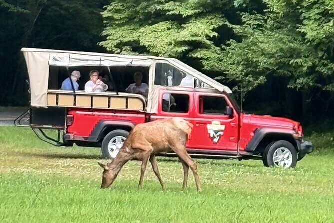 3 - 3.5 HR Smoky Mtn. Cherokee Eco Elk Safari Jeep Adventure - Exploring Cherokee Reservation: Culture and Wildlife Encounters