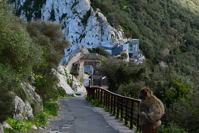 3.30Hrs Private Victory Diamond Rock Tour in Gibraltar - Meet the Barbary Macaques at Upper Apes Den