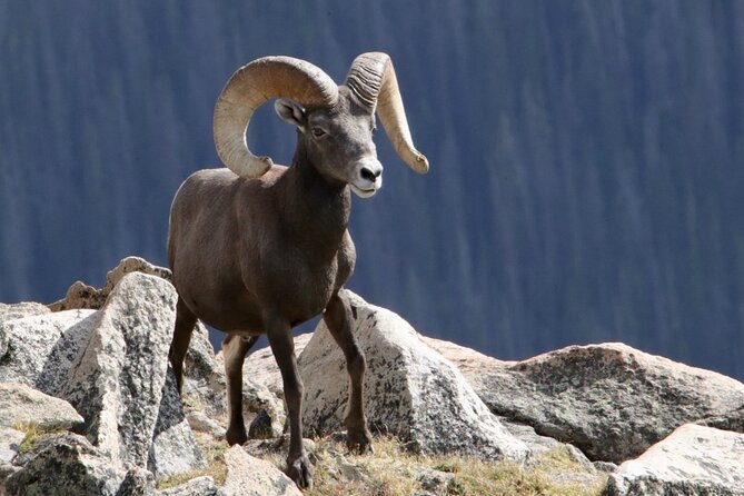 3/4 Day Rocky Mountain NP "Mountain to Sky+Bear Lake Rd" Tour - RMNPhotographer - Discover the 3/4 Day Rocky Mountain NP "Mountain to Sky+Bear Lake Rd" Tour by RMNPhotographer