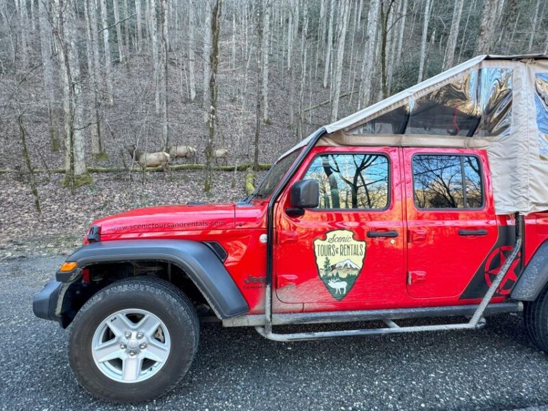 3.5-4 HR. Guided Safari Jeep Eco Waterfall Adventure - Riding the Safari Jeep Along Ridgelines on the Blue Ridge Parkway