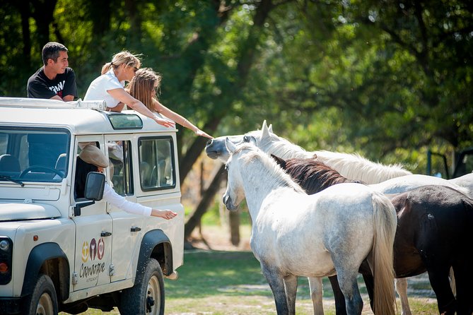 3.5 Hour Camargue 4x4 Safari from Le Grau-du Roi - Exploring the Camargue Landscape and Wildlife