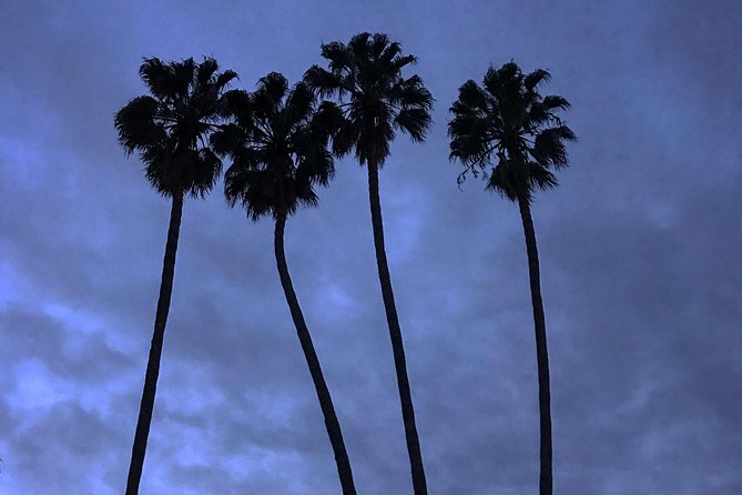 3.5 Hour Coastal Tour of Santa Monica, Venice Beach and Malibu - The Experience of Guides and Reviews