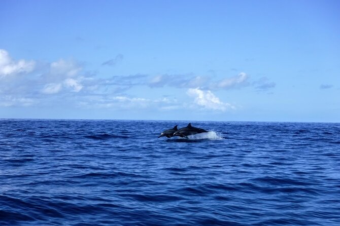 3.5 Hour Kailua-Kona Ocean Kayak and Snorkel Tour - The Value of a Guided Ocean Adventure