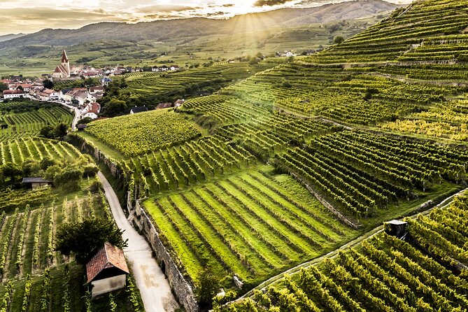 3 Castles and Wine Private Day Trip in Danube Valley from Vienna - Wine Tasting at Rossatzs Family-Run Winery