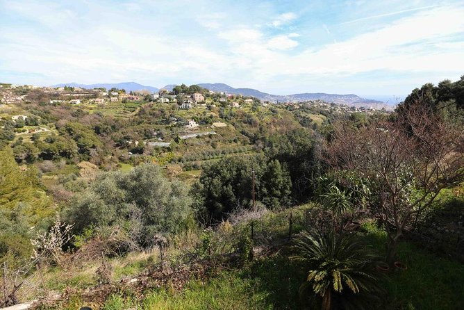 3-Course Organic Dinner in Garden with Views of French Riviera - The Experience of Dining with a Local Host in Nice