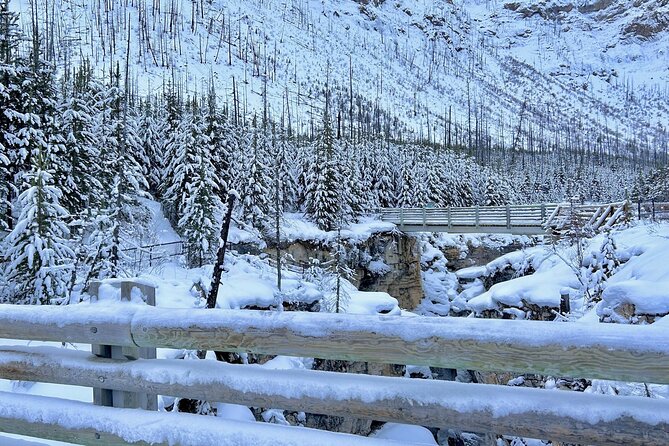 3 Day Adventure Johnston Canyon and Lake Louise - Johnston Canyon: The Starting Point of Your Rocky Mountain Journey