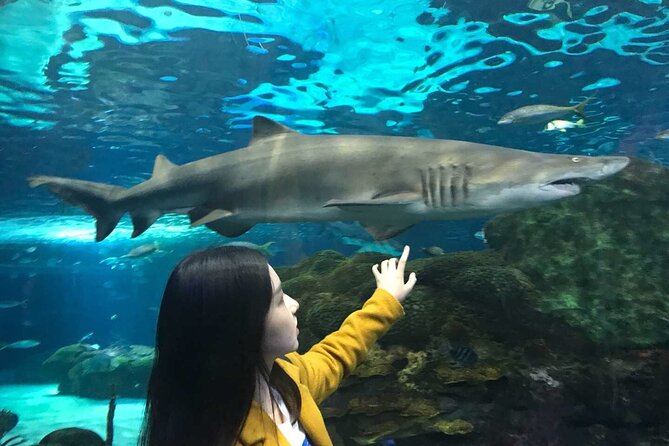 3 Day and 2 Night Tour: Toronto, 1000 Islands, and Niagara Falls - Exciting 3-Day Tour from Montreal to Toronto, 1000 Islands, and Niagara Falls at $300 per person