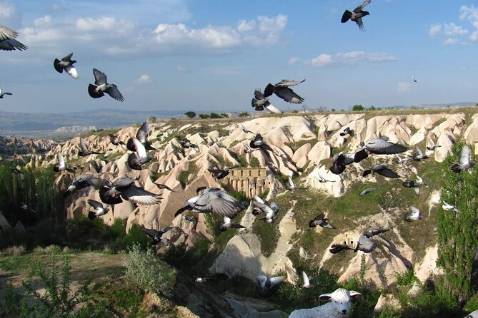 3-Day Cappadocia Trip Including Hot Air Balloon Ride & Camel Ride - Unique Geological Formations and Fairy Chimneys