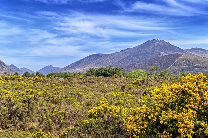 3-Day Discover Northern Ireland Small-Group Tour from Dublin - Accommodation and Included Meals