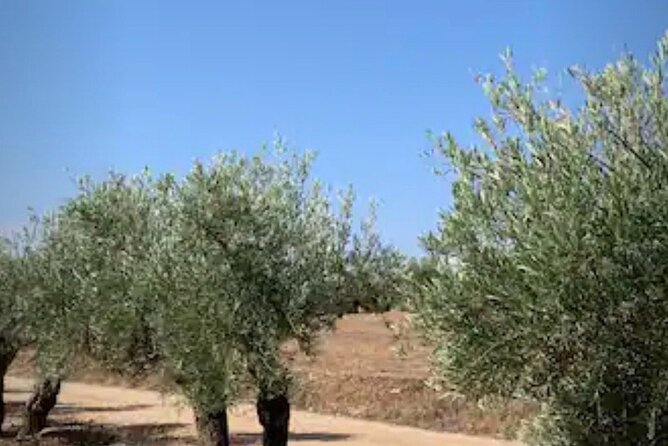 3 Day Foodies & Nature Lovers Tour; Medieval Village Near Madrid - Frequently Asked Questions