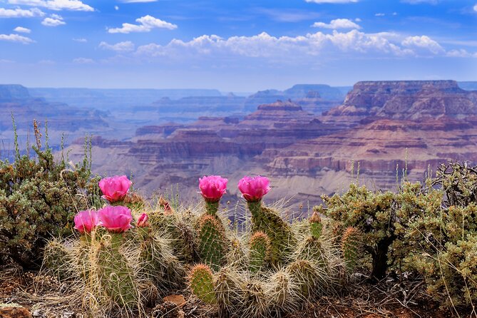3-Day Grand Canyon, Antelope, Bryce & Zion Tour from Vegas - Cost-Effectiveness and Tour Value