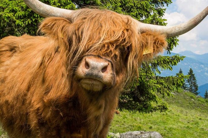 3 Day - Isle of Skye, Loch Ness & Glenfinnan Tour from Edinburgh - Starting Point: Easy Access from Edinburgh