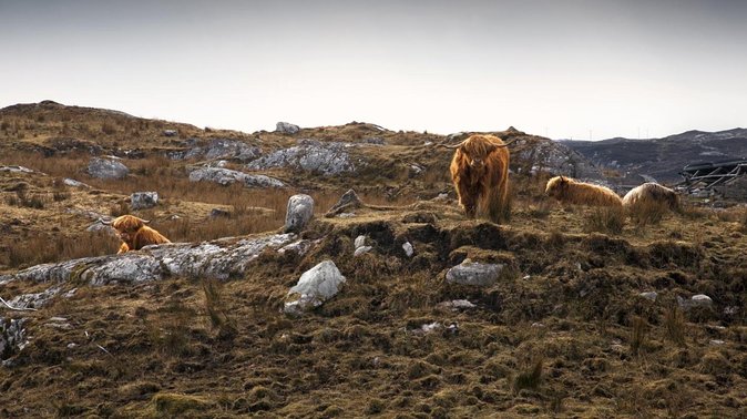 3-Day Lewis, Harris and the Outer Hebrides Small-Group Tour from Inverness - Exploring Lewis’s Ancient Blackhouse at Arnol